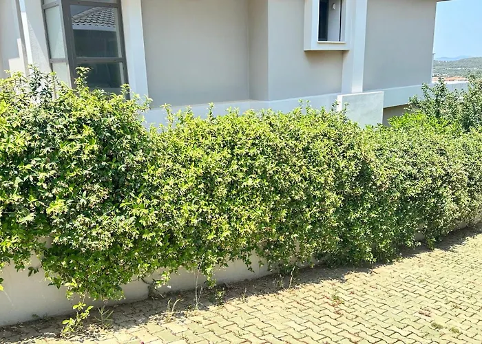 Villamonda فيلة *