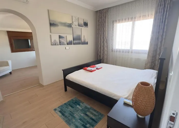 فيلة Villamonda *