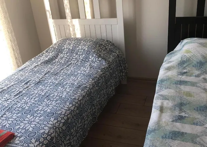 فيلة Villamonda *